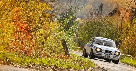 Rajd Żubrów 2013